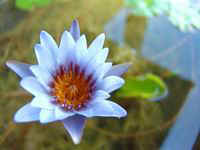 Resize of DSC08057.JPG (7015 bytes)